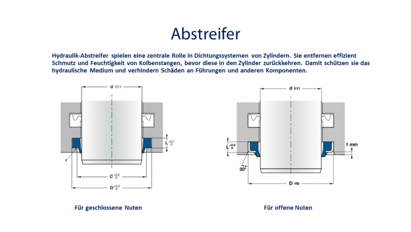 Translatorische Dichtungen: Abstreifer