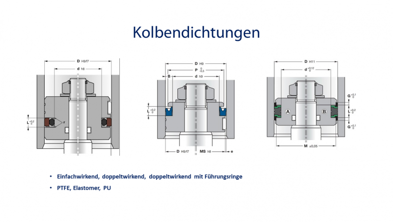 Translatorische Dichtungen: Kolbendichtungen