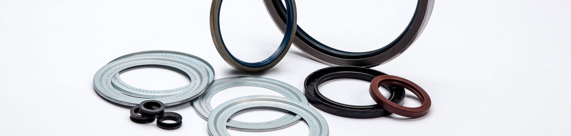 Rotationsdichtungen